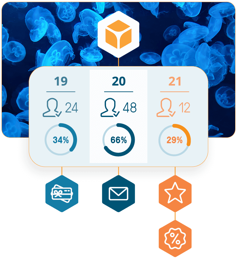 bookingkit-zoo-aquarium-audience-flow